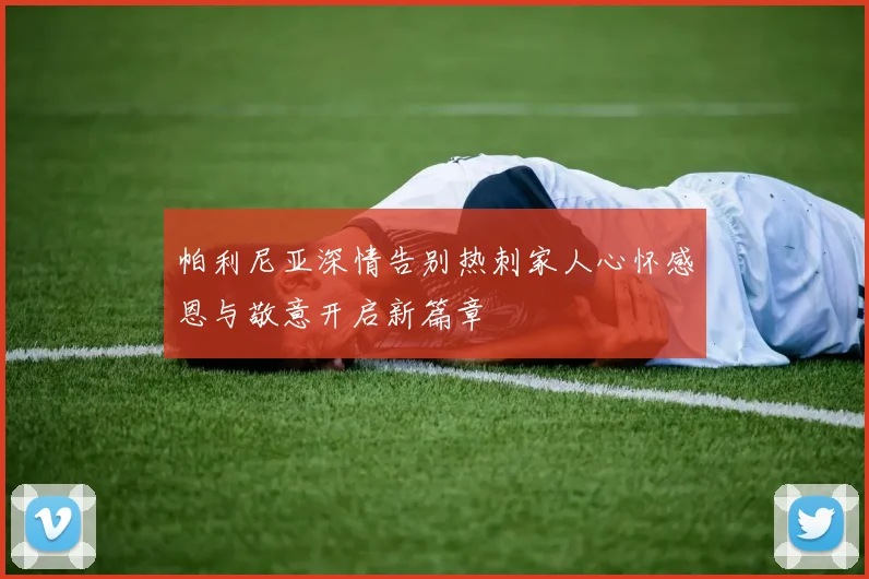 帕利尼亚深情告别热刺家人心怀感恩与敬意开启新篇章