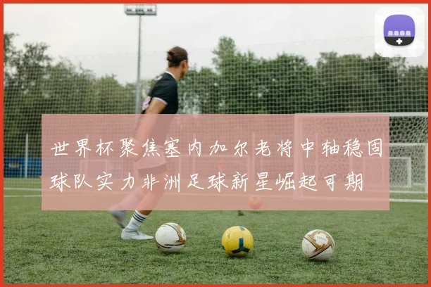 世界杯聚焦塞内加尔老将中轴稳固球队实力非洲足球新星崛起可期